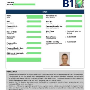 Индонезийская Туристическая e-VoA на 30 дней (Пакет Промо Стандарт)