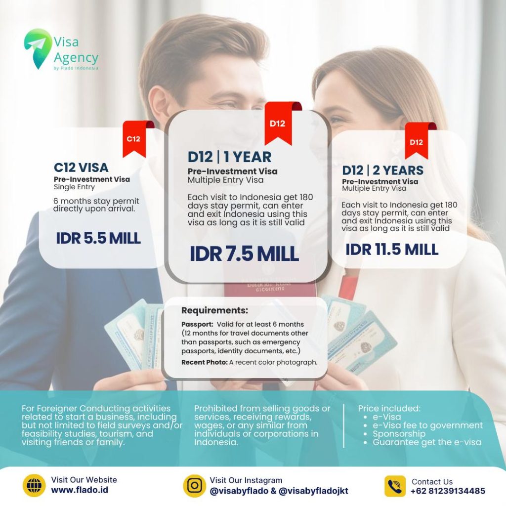 Однократная виза C12 и многократная виза D12 — от 5,5 миллионов!